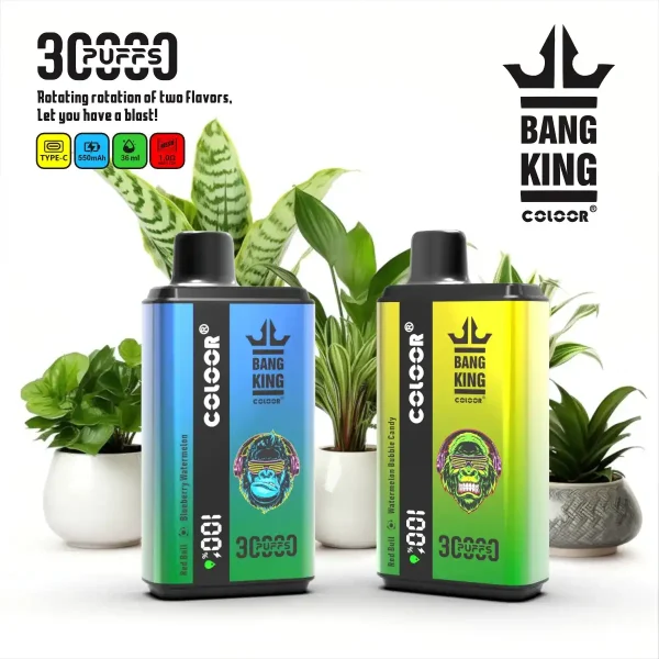 Bang King 30K (30000) Puffs New Double Flavor 0% 2% 3% 5% Nicotine LED Digital Display 36ml E-liquid Disposable Vape 1 Bang King 30K(30000) Puffs New Double Flavor 0% 2% 3% 5% Nicotine LED Digital Display 36ml E-liquid Disposable Vape