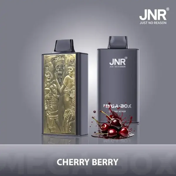 JNR Mega Box 25K (25000) Puffs 3D Texture 2% 5% Nicotine 30ML E-liquid 850mAh Powerbank Battery Disposable Vape 48 JNR Mega Box 25K (25000) Puffs 3D Texture 2% 5% Nicotine 30ML E-liquid 850mAh Powerbank Battery Disposable Vape